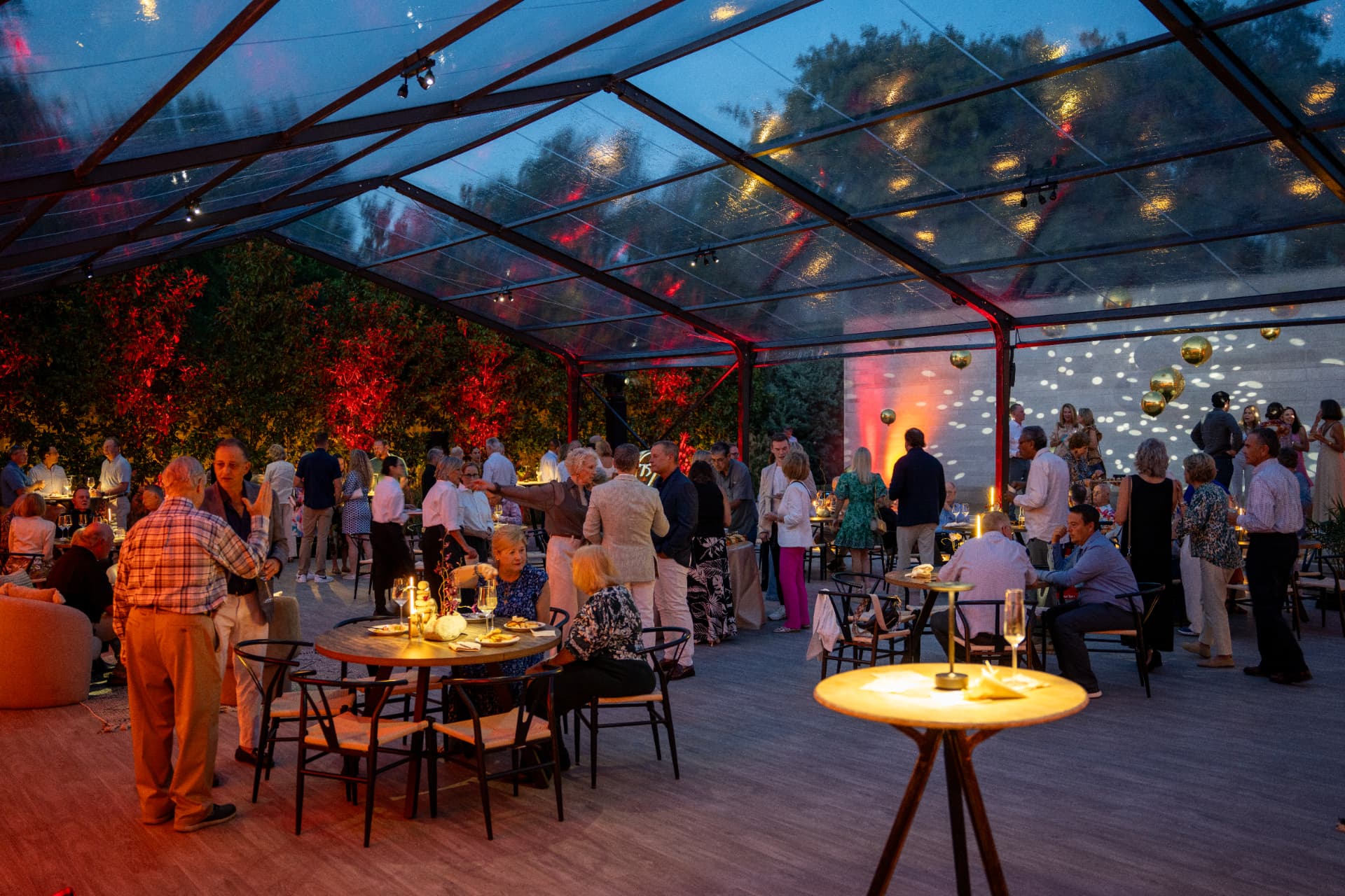Cocktails under a glass roof, night falling